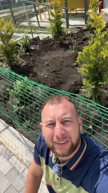 СТРОИТЕЛЬСТВО И РАСТЕНИЯ! ДУМАЕМ ПРО ДЕРЕВЬЯ НА СТРОЙКЕ ЗАРАНЕЕ! #александррейн #shorts #стройка