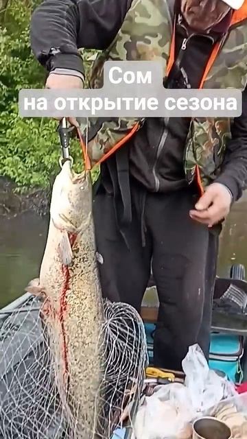 открытие рыболовного сезона-2025 #рыбалка #fishing #троллинг #сомтроллингом