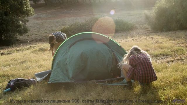 Музыка гладит пейзажи так, что мурашки бегут - Kid Is Frangin -- Podington Bear -- Meet Podington Be