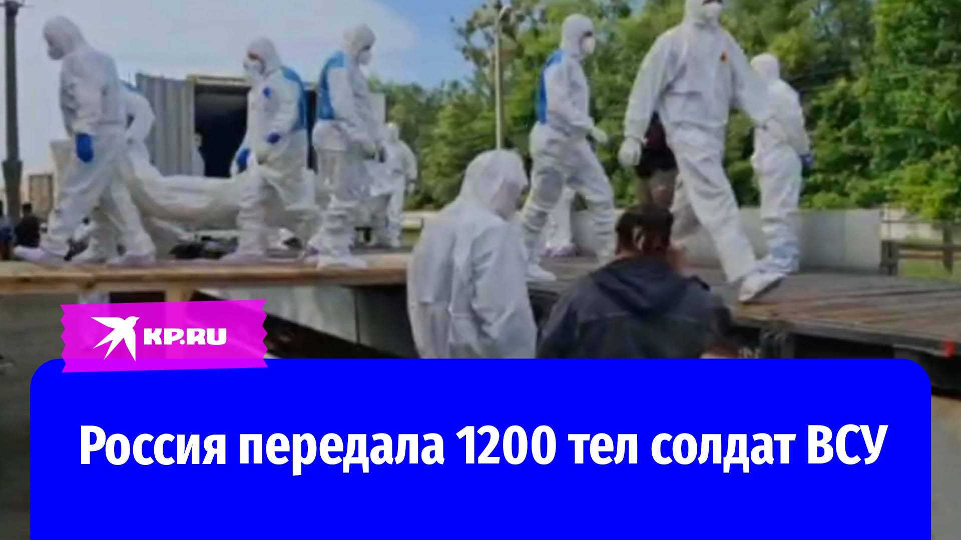 Россия передала Украине тела 1200 солдат ВСУ в рамках стамбульских договорённостей