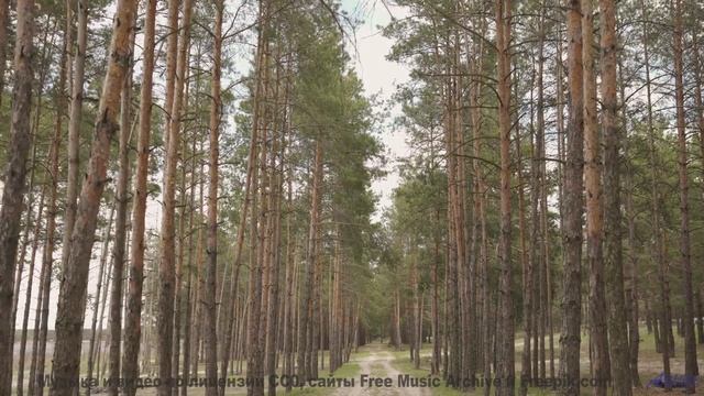 Музыка, которая звучит как первое признание в любви... - Think BIG -- Scott Holmes Music -- Corporat