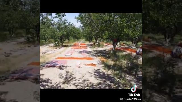 VID-20250613-WA0611