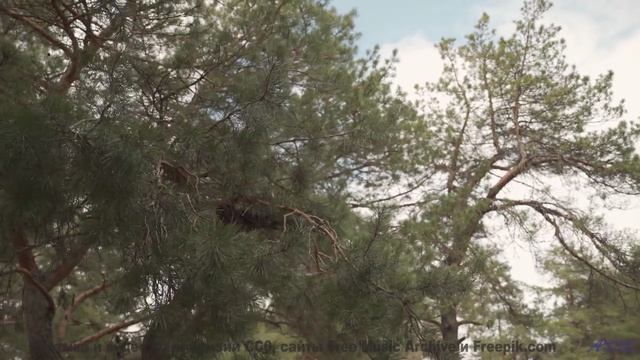 Беспокойство улетает прочь при первом музыкальном аккорде - A Little Bit Down -- Derek Clegg -- Man