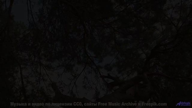 Зелень и облака танцуют вместе с этим невероятным звуком - We All Know -- Ayato + Kecap Tuyul -- Flo