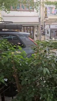 Монстр среди авто...