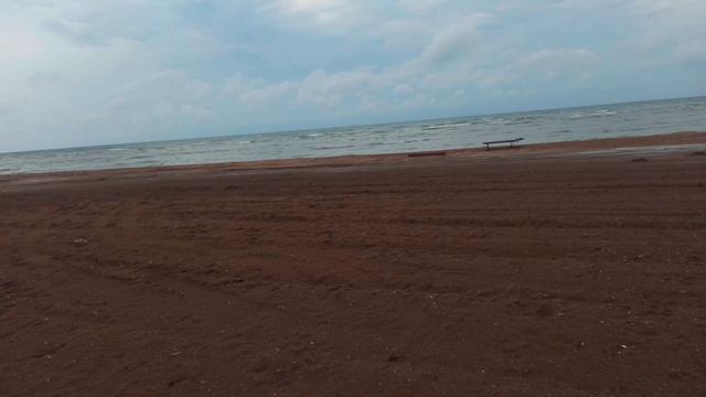 Каспийское Море мелеет