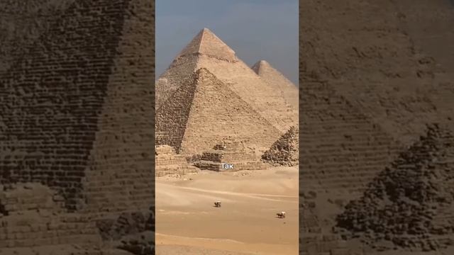 VID-20250613-WA0349