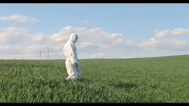 Музыка, способная показать мир заново - Desgarro (XLIV) -- opo -- Estudios Indigeniformes