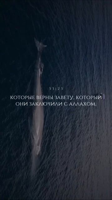 Сура 33 Аль-Ахзаб (23). Чтец: Мухаммад аль-Люхайдан