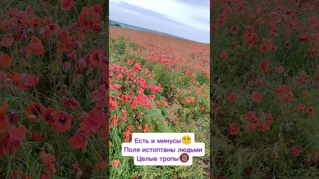 #челендж коллаген 80/86
#пятигорсклокация года