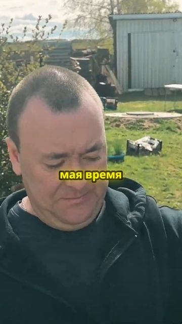 Поездка за продуктами и планы на курицу в казане