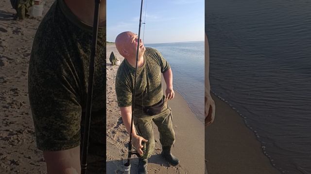 вечерний звон калкана