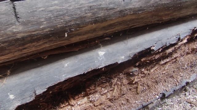 Водосток на баню. Продолжение.