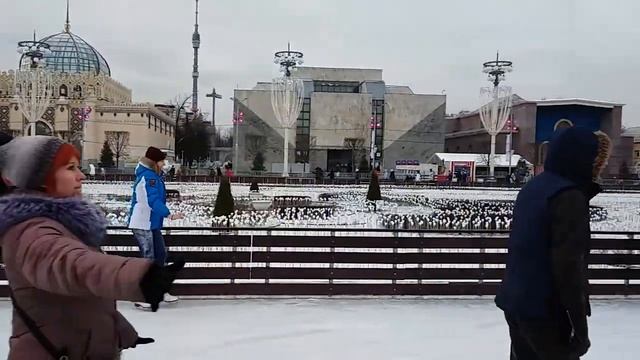 Каток на ВДНХ