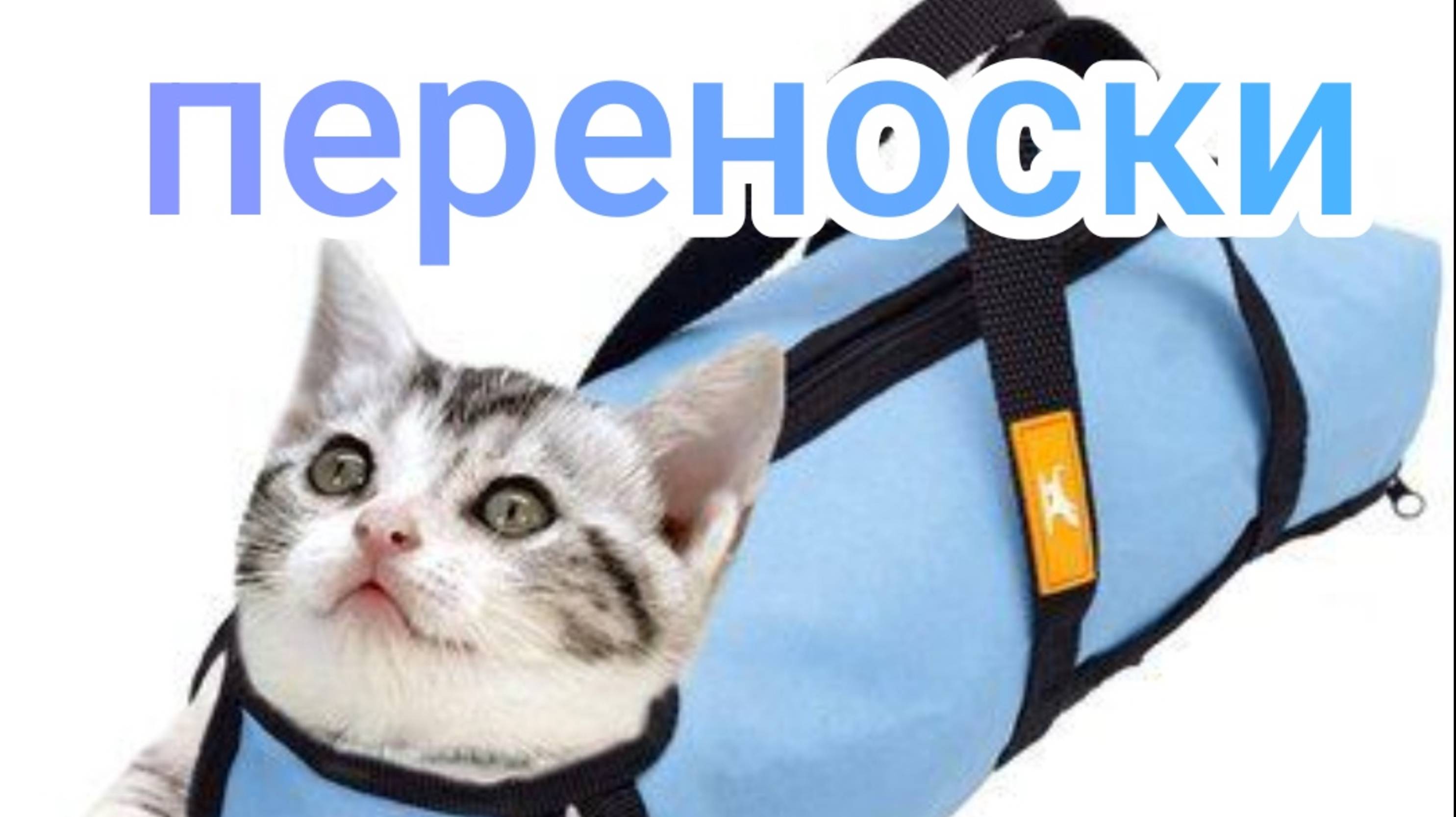 Переноски для Животных