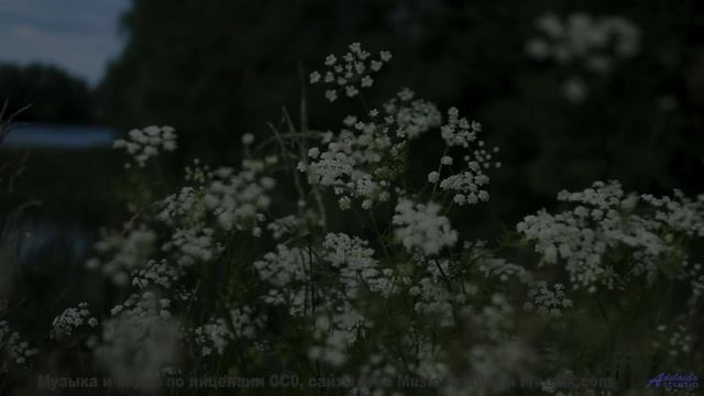 Цветущие поля и цветущие ноты! - Soul-Work -- Ketsa -- The New World