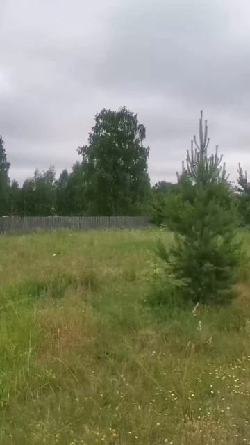 костоусово2 видео