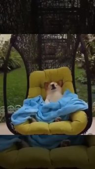 сладких снов и доброй ночи