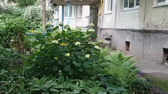 1000008574.mp4