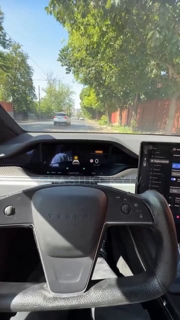 Маск подогнал авто на кавказ