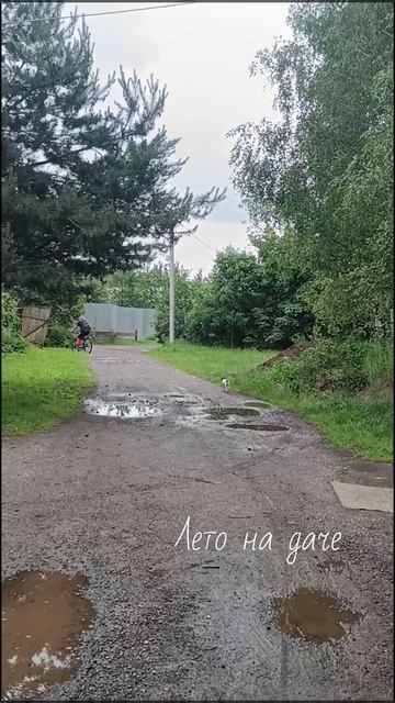 Лето на даче