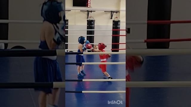 Бокс. Малыши