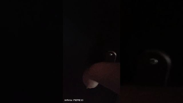 1000125862.mp4