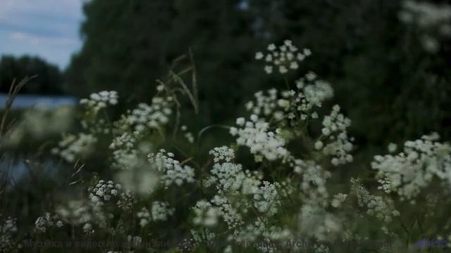 Музыка заставляет сердце танцевать без перерыва - Like a Ho3 -- 22 -- Unnamed album