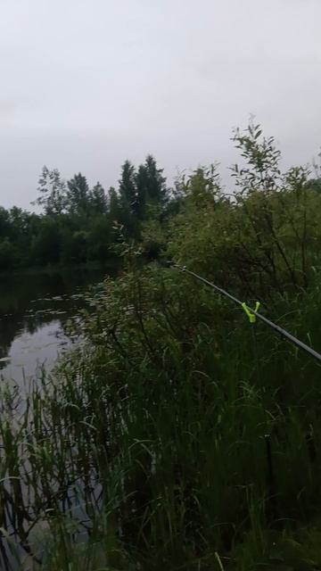 красота