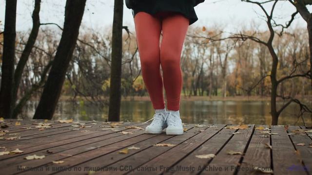 Дорога, скорость и музыка, от которой бегут мурашки! - Interstellar Soap Opra -- HoliznaCC0 -- Strai