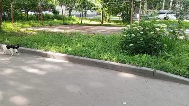 1000008529.mp4