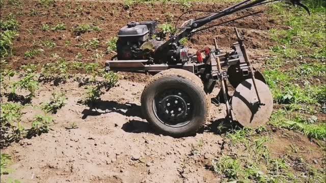 Прополка и окучивание картошки.