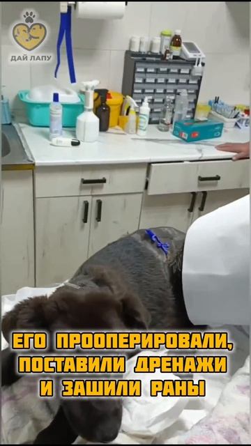-7222007043122743169