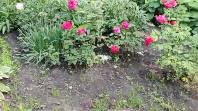 1000008591.mp4
