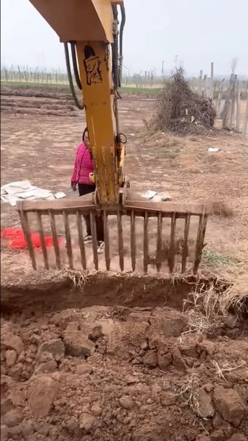 Digging plantation land #shorts