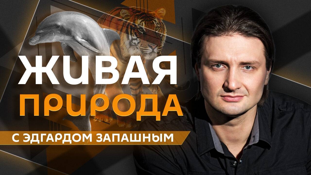 Эдгард Запашный. Побег кенгуру, загрязнение Енисея, питание животных и чипирование собак