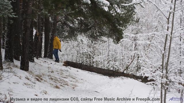 Леса качаются, как море, под такую мелодию - Thoughts Growing Mold -- HoliznaCC0 -- Forager Pt 2