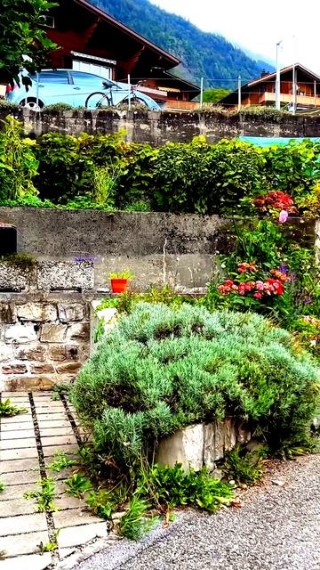 Момент истины