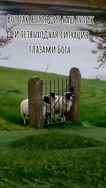 ВОТ ТАК ВЫГЛЯДИТ НАШ ТУПИК И БЕЗВЫХОДНАЯ СИТУАЦИЯ ГЛАЗАМИ БОГА