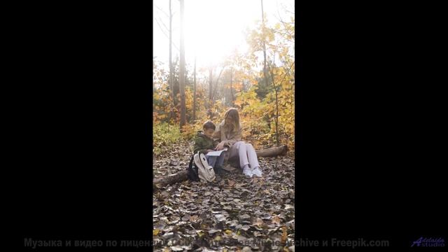 Природа в 360° VR - полное погружение в будущее! - Reborn -- Ketsa -- The Calling