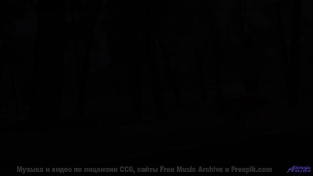 Звуки, программирующие вашу судьбу - наука или предрассудки - Too Many Roads -- One Man Book -- Bran