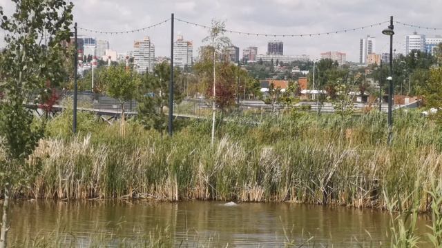 Левобережье парк пруд Ростов