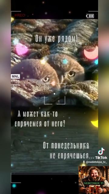 От него не спрятаться!