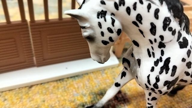 Обзор на всех моих лошадей