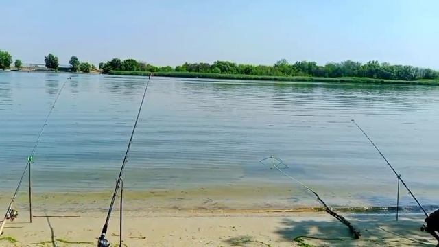 Утренняя заря.Звуки природы