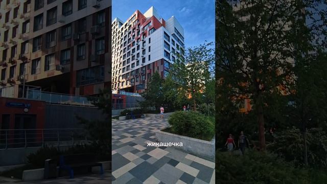 79. Капитанские будни