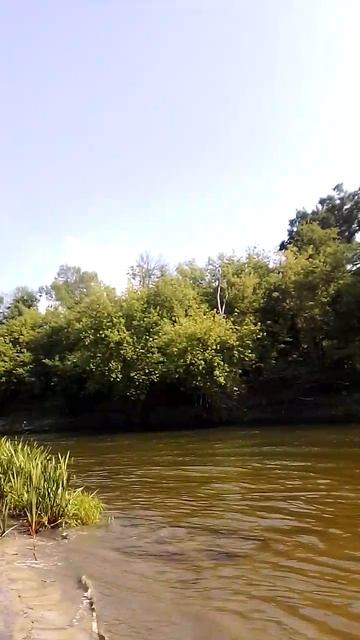 VID_2025-06-08-15-39-29-749