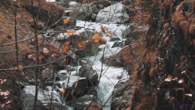 Грозовые тучи и жёсткий дроп! - My Soul -- Mack Aroni -- Lowfi Spirit