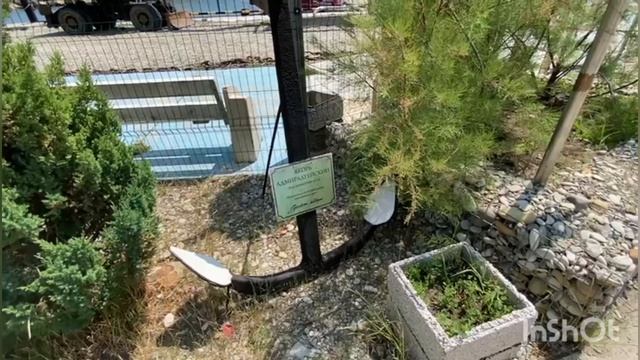 Якоря в Ольгинке