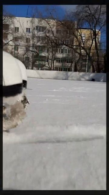 Коньки. Красиво.